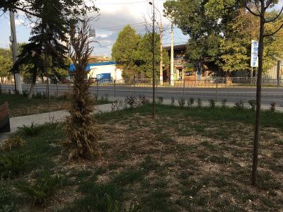 Прикрепленное изображение: IMG_1203.JPG